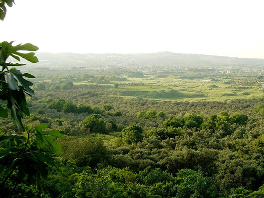 La colline Phnom Chisor